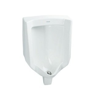 Kohler Bardon S Mid-Size Urinal with Rear Inlet