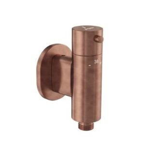 Jaquar Exposed Part Kit of Concealed Thermostaic Valve for Health Faucet (Compatible with Ald-649)