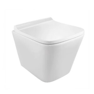Jaquar RIMLESS, BLIND INSTALLATION WALL HUNG WC WITH UF SIZE : 345X495X365 MM