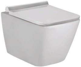 Parryware Luco Rimless Wall Hung (PG) (PP)