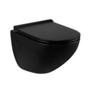 Parryware Cardiff Rimless Wall Hung in Black Matte