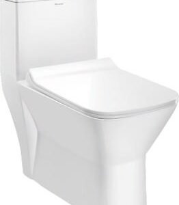 Parryware Jupiter Single Piece Washdown(S)- 300mm