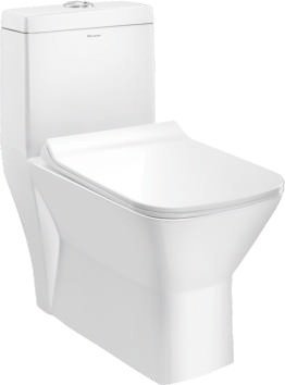 Parryware Jupiter Single Piece Washdown(S)- 300mm