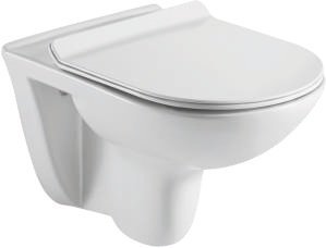 Parryware Celico Rimless Wall Hung- White