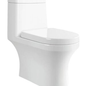 Parryware Viva Rimless Single Pc - S220
