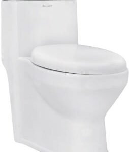 Parryware Crown NXT One Piece Rimless S220 Ultrawhite