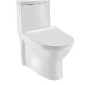 Essco SINGLE PIECE WC WITH PP SOFT CLOSE SLIM