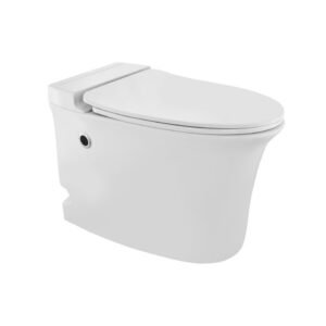 Jaquar Tankless Single Pieces WC with UF Soft Size: 380x620x450 mm "s" Trap - 300 mm - White
