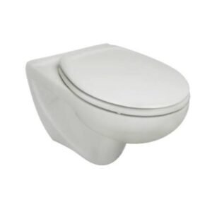 Roca Victoria Wall Hung WC with Fixing Accessories, Size: 355x525x345 mm, White