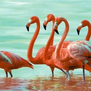 Somany Aqua Marina HL-03 300x600mm