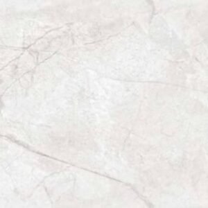 SOM ASPIRE EL DIVINITY ASH FP 600X1200(2PCS)TT