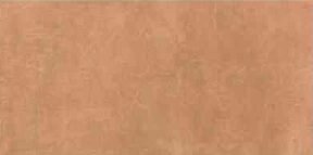 SOM ASPIRE FLOREALE BROWN FP 600X1200(2PCS)TT