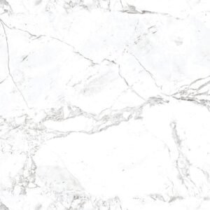 SOM BON BLANDUS SNOW FP 600X1200(2PCS)KADI