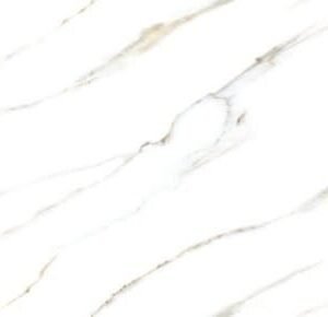 SOM BON REGALA ARTIC FP 600X1200(2PCS)KADI