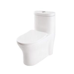 Somany Celtis Wash Plus SYP One PC Toilet S-220
