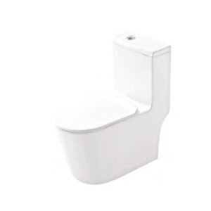 Somany Elan-Quiet Swirl One PCS Closet S-220mm