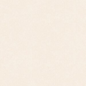 Somany Evita Crema 300x450mm
