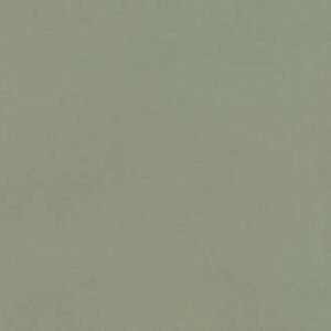 SOM FB DUSKY S&P KOTA GREEN MATT 600X1200(2PCS)MORBI