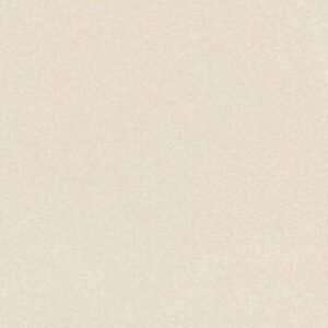 SOM FB VEGA CREMA MATT 600X600(4PCS)MORBI