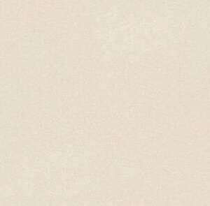 SOM FB VEGA CREMA POLISH 600X1200(2PCS)MORBI