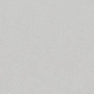 SOM FB VEGA DOVE POLISH 600X600(4PCS)MORBI