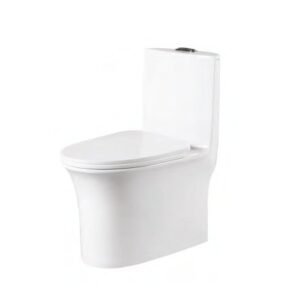 Somany LAVIE ONE PC TOILET S-220MM B.WT