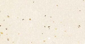 SOM LEIA CREMA 26 800X2600(1PCS)MORBI