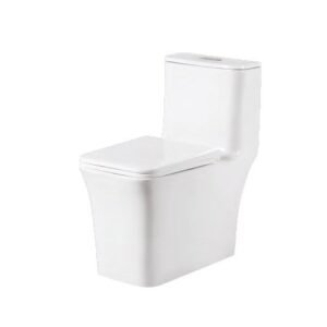 Somany LIANA ONE PC TOILET S-220MM B.WT