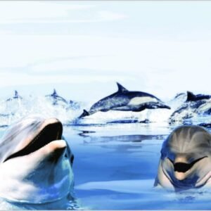 Somany Marina Blue HL-01 A 300x600mm