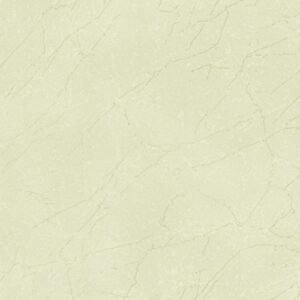 SOM NANO NASH VERVE 600X600(4PCS)MORBI