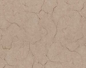 Somany Oken Brown 300x450mm
