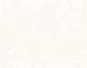 Somany Oken Crema 300x450mm