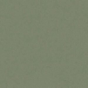SOM ORLANDO OLIVE 600X600(4PCS)TT