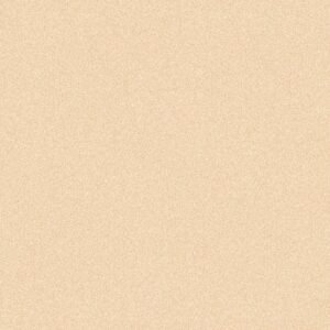 SOM POLARIS BEIGE 400X400(5PCS)MORBI