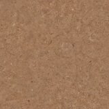 SOM PONTIUS BROWN 600X600(4PCS)KADI