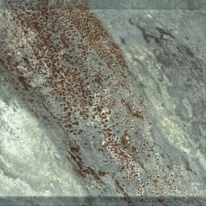 Somany River Stone Girgio 300x450mm