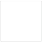 SOM TEMP SHIELD BIANCO 300X300(8PCS)MORBI