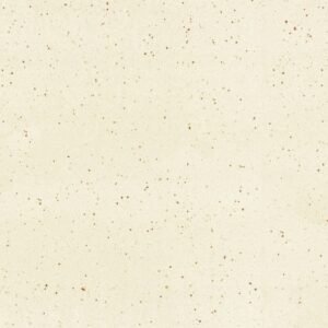 SOM TERRAZO CREMA 600X1200(2PCS)TT