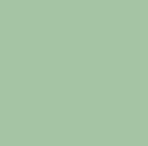 SOM TONES BASIL 600X1200(2PCS)MORBI TONES