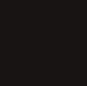 SOM TONES COAL 600X1200(2PCS)MORBI TONES