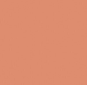 SOM TONES EARTH 600X1200(2PCS)MORBI TONES