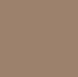 SOM TONES HAZEL NUT 600X1200(2PCS)MORBI TONES