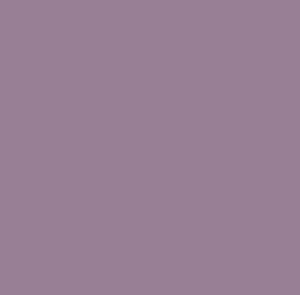 SOM TONES LILAC 600X1200(2PCS)MORBI TONES