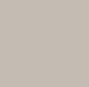 SOM TONES NEVADA GREY 600X1200(2PCS)MORBI TONES