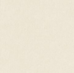SOM VALOR DELMON BEIGE 600X600(4PCS)TT