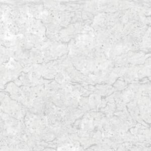 SOM VERVE PERLATO FOSSIL 600X1200(2PCS)MORBI