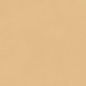 SOM VIBON ELEGANZA BEIGE MATT 600X1200(2PCS)SANVI