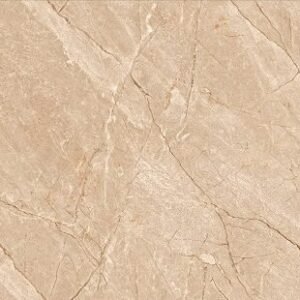 SOM VIBON EPIC BROWM FP 600X1200(2PCS)SANVI