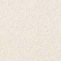 SOM ZION BEIGE 600X600(4PCS)TT