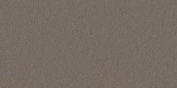 SOM ZION BROWN 600X1200(2PCS)TT